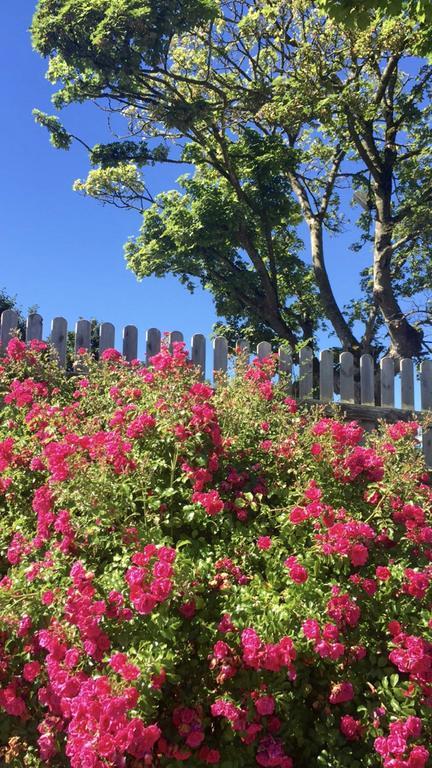 Southern County Resort Sheean エクステリア 写真